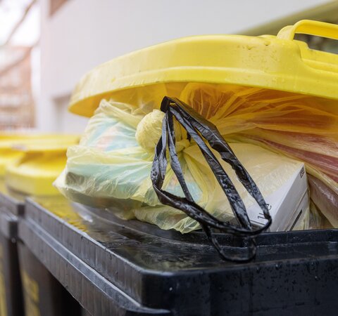 Der obere Teil einer gelben Tonne. Der gelbe Deckel der Tonne ist leicht geöffnet, ein gelber Sack mit Abfall darin schaut heraus. | © Die Bremer Stadtreinigung