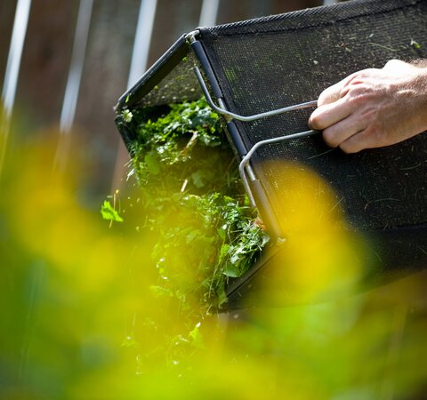 Ein Rasenmäher-Grasfangkorb, aus dem Gartenabfälle geschüttet werden. | © Die Bremer Stadtreinigung Jemand leert einen Rasenmäher-Grasfangkorb und schüttet Gartenabfälle aus. | © Die Bremer Stadtreinigung